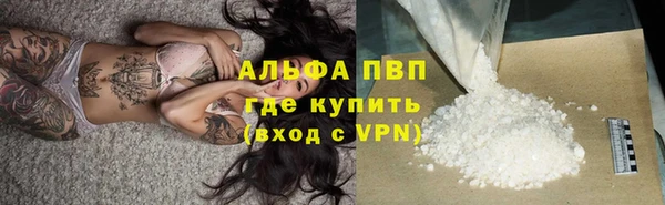 крисы Елизово