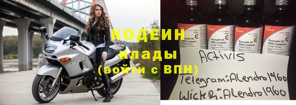 крисы Елизово