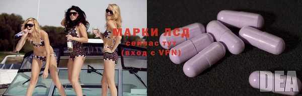крисы Елизово
