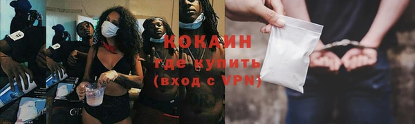 ПСИЛОЦИБИНОВЫЕ ГРИБЫ Елабуга