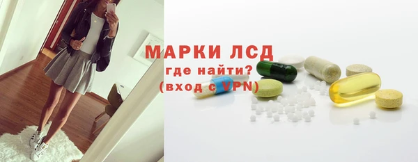 ПСИЛОЦИБИНОВЫЕ ГРИБЫ Елабуга