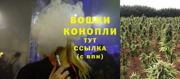 ПСИЛОЦИБИНОВЫЕ ГРИБЫ Елабуга