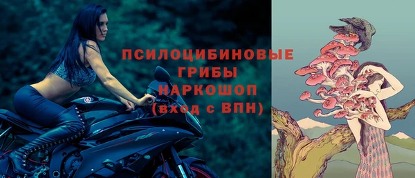 прущие крисы Заводоуковск