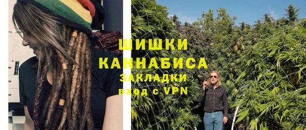 крисы Елизово