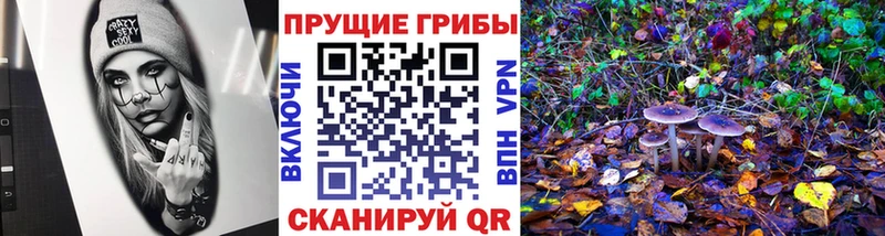 Галлюциногенные грибы Psilocybine cubensis  купить наркотики цена  KRAKEN как войти  Новочебоксарск 