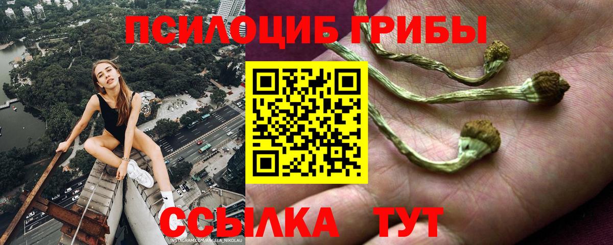 Псилоцибиновые грибы мухоморы Новочебоксарск