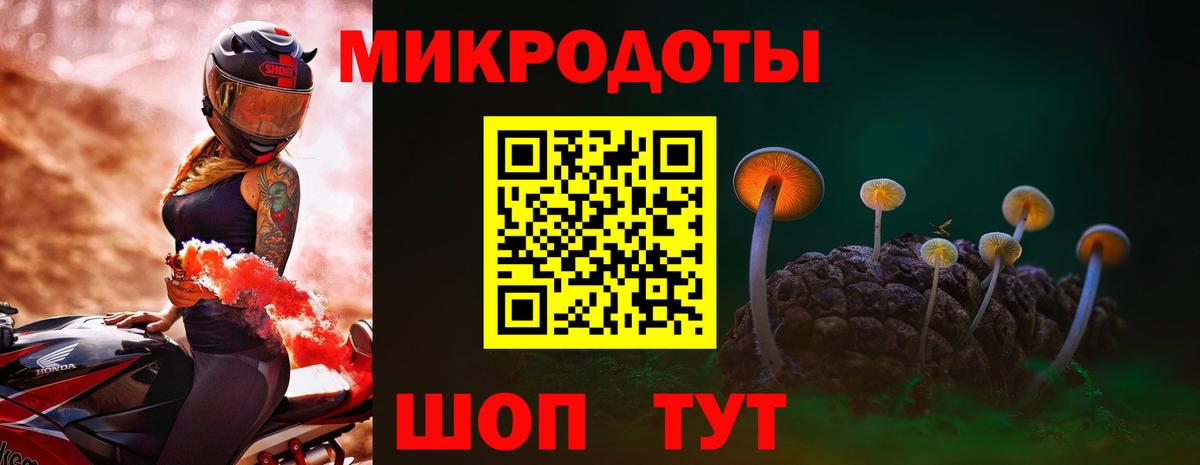 Новочебоксарск  Псилоцибиновые грибы Psilocybe  купить наркотик  Вход с VPN 